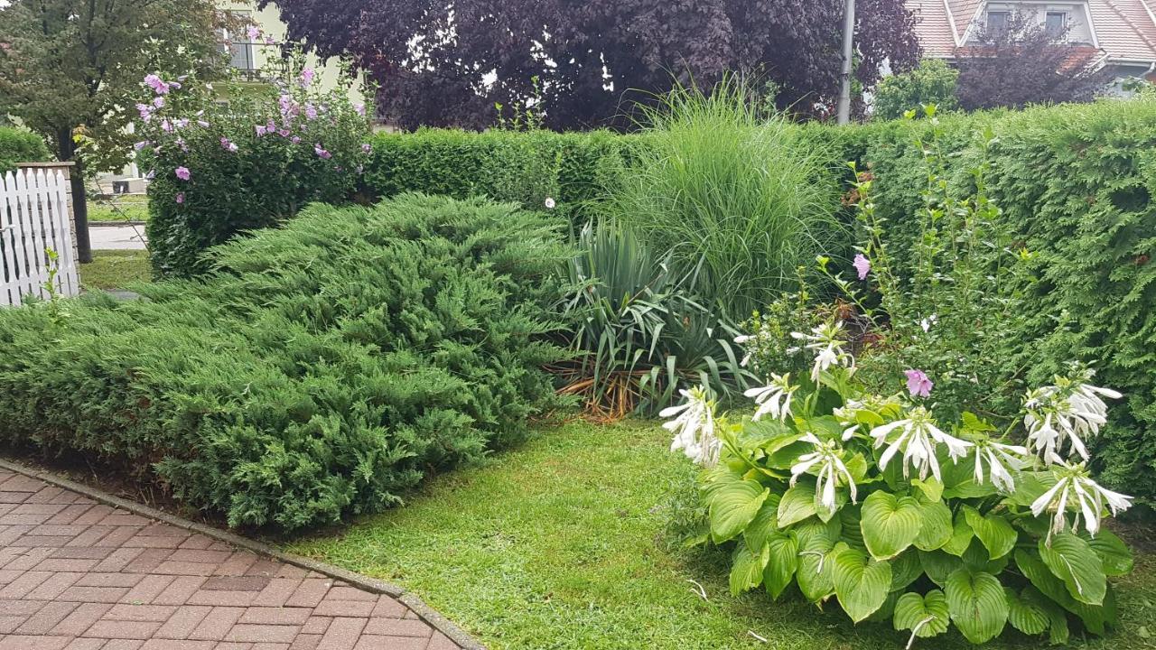 Ferienwohnung Szenczi Vendeghaz Bük Exterior foto